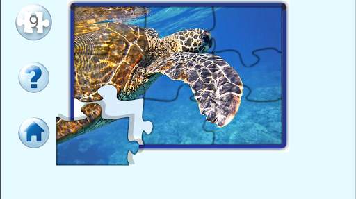 Bob: Jigsaw puzzles for kids screenshot 4