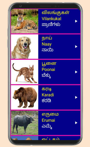 Learn Tamil From Kannada screenshot 5
