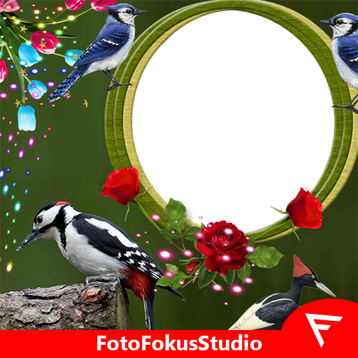 Woodpecker Insta DP icon