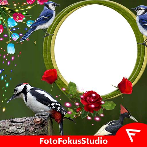 Woodpecker Insta DP 3.0