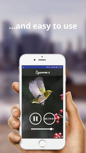 Sparrow Sounds - Sleep & Relax screenshot 3