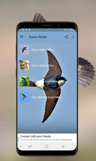 Suara Walet Panggil dan Inap screenshot 1