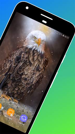 HD Eagle Wallpaper screenshot 2