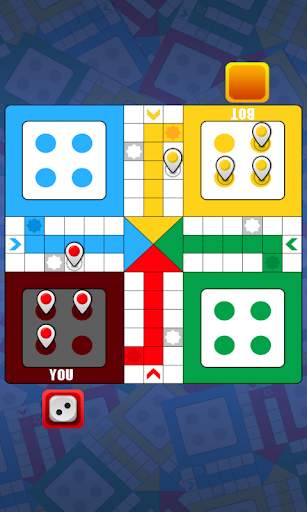 Ludo Bird Champion :  Knight R screenshot 3