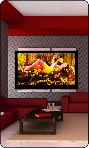 Net Tv Photo Frame - Net Tv скриншот 1