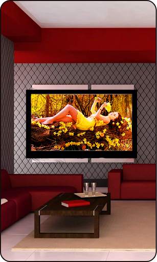 Net Tv Photo Frame - Net Tv screenshot 1