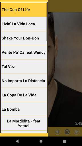 Ricky Martin Best Music(Offline) & Ringstones screenshot 3
