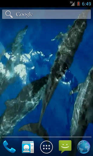Wild Dolphins Video Wallpaper screenshot 3