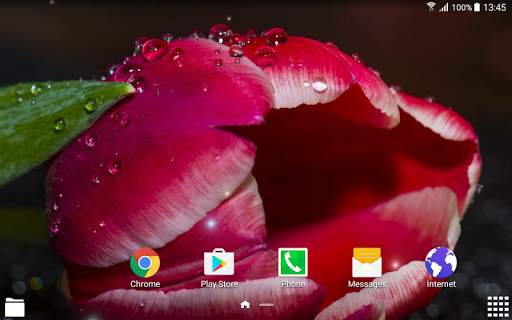 Tulips Live Wallpaper screenshot 8