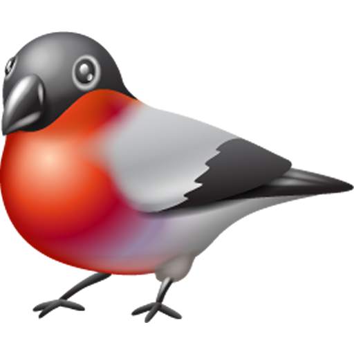 Bird Center: Kids Learn Birds 1.2.2