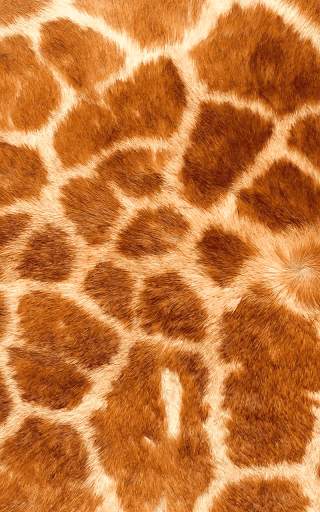 Animal Print Live Wallpaper HD screenshot 4