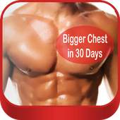 Bigger Chest in 30 Days 1.0