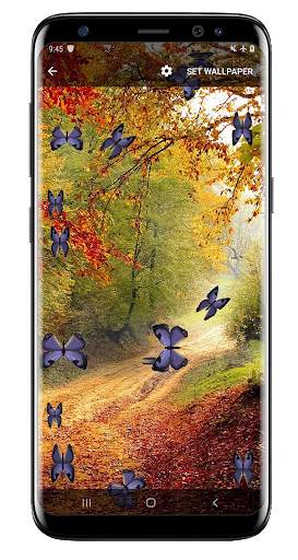Butterfly and Blossom live wallpaper screenshot 5
