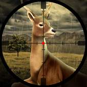 Deer Jungle Sniper Shooting 1.4
