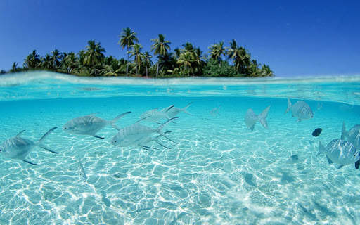 Hawaii Wallpapers screenshot 3