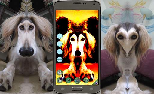 Mirror Camera screenshot 6
