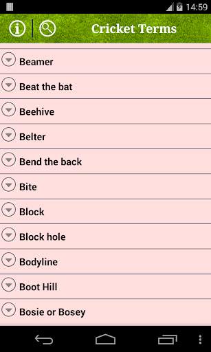 Cricket Terms screenshot 2