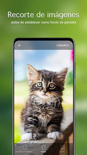 Fondos de pantalla con gatos screenshot 4