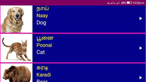 Learn Tamil From English скриншот 14