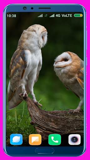 Owl Wallpaper screenshot 14