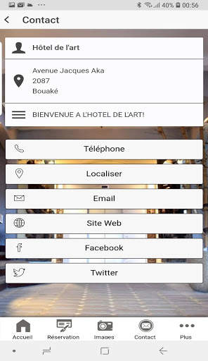 Hôtel de l'art screenshot 3