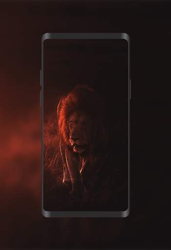 Wallpapers Lions 4K screenshot 4