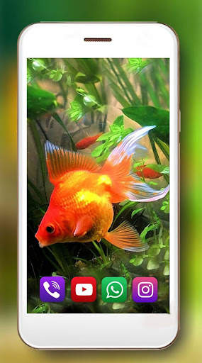 Aquarium Gold Fishes LWP 7 تصوير الشاشة