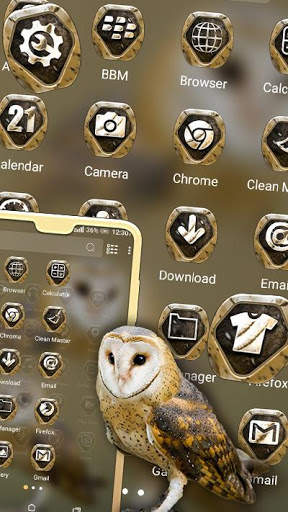 Owl Theme Launcher скриншот 2