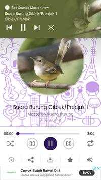Bird Sounds - Free MP3 Download 1 تصوير الشاشة