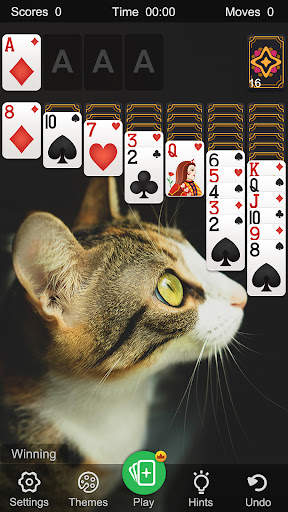 Solitaire Classic Klondike screenshot 26