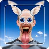 Fun Wajah - Photo Editor logo