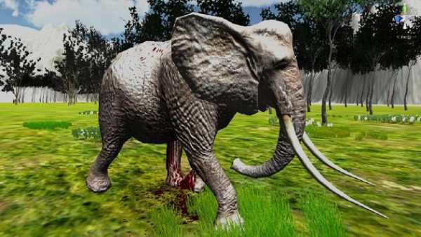 Wild Animals Hunting Archery screenshot 5