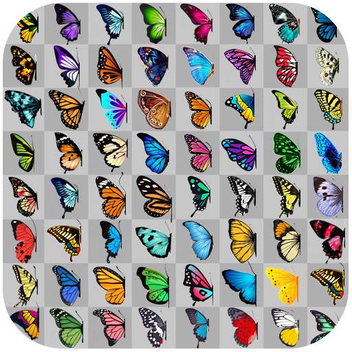 Butterfly connect game 1.6