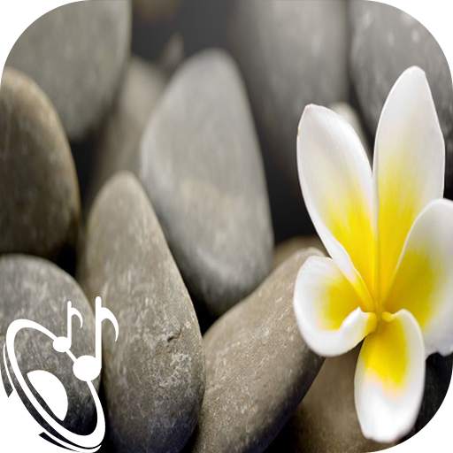 نغمات رنين هادئة 1.0