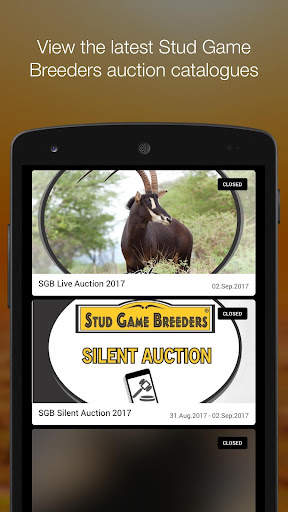 Stud Game Breeders screenshot 1