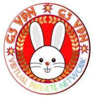 G5 VPN logo