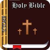Holy Bible Tsonga(TSO89)