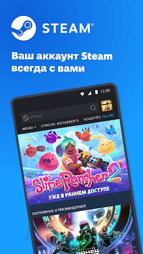 Steam скриншот 1