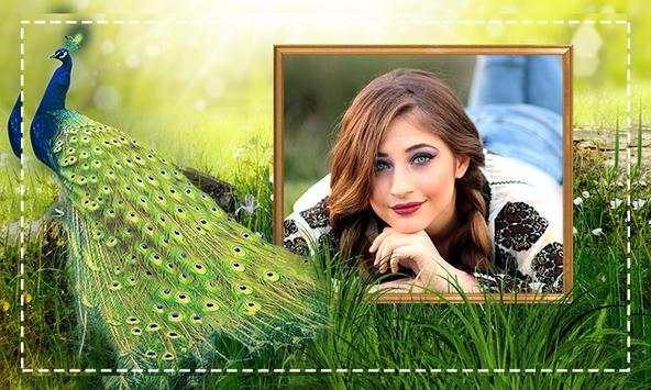Peacock Photo Frames screenshot 5