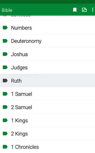 RSV Bible screenshot 11