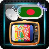 Channel Sat TV Bangladesh logo