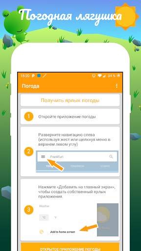 Ярлык погодной лягушки скриншот 1