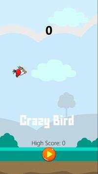 Crazy Bird screenshot 1