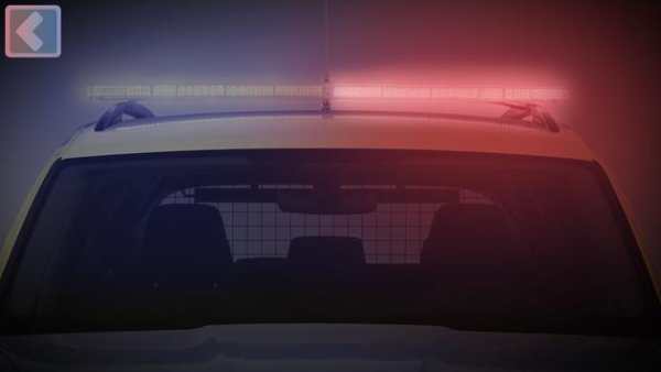 Pursuit: Police Siren screenshot 4