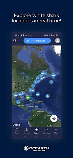 OCEARCH Shark Tracker screenshot 1