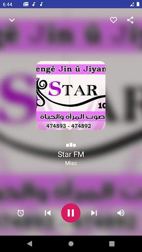 Rojava Radios FM screenshot 5