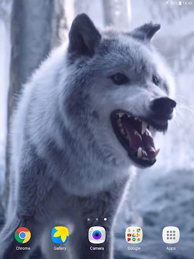 Wolf Video Live Wallpaper screenshot 10