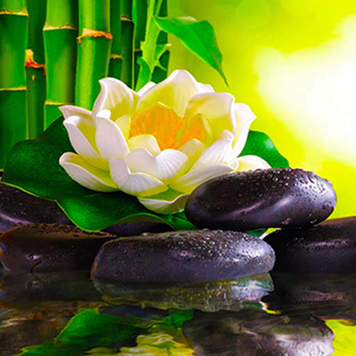 Relaxation Music screenshot 11