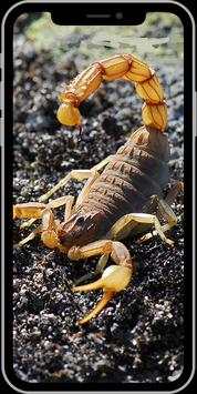 Scorpion Wallpaper HD screenshot 2
