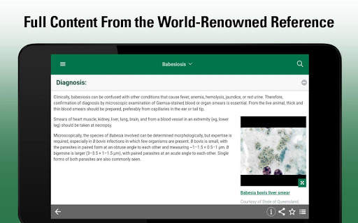 MSD Vet Manual screenshot 8